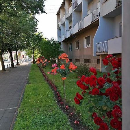 Apartman Borak Apartment Cladova Exterior foto